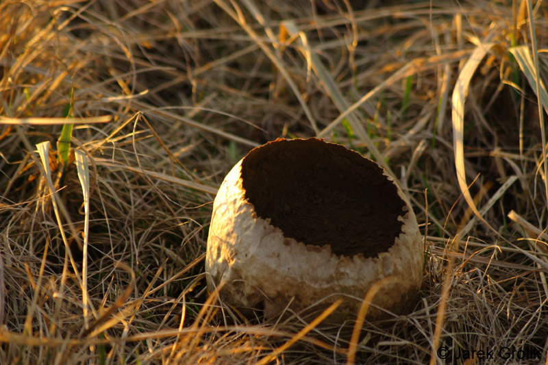 04_other_13