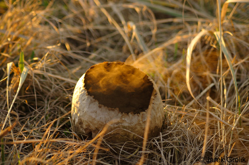 04_other_15