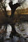 04_other_09