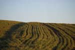 04_other_12