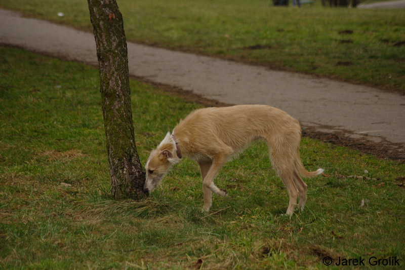 01_other_005
