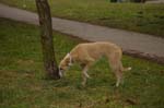 01_other_005