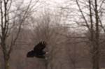 01_other_009