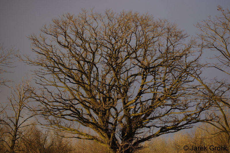 02_other_001