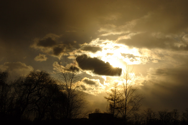 02_other_002
