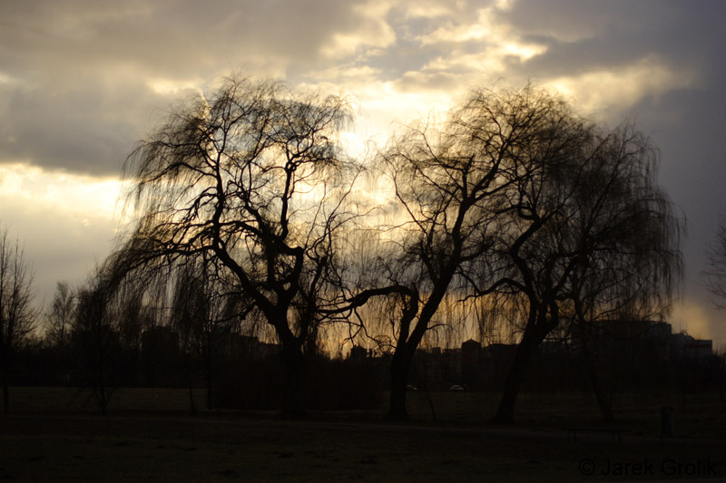 02_other_003