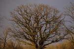 02_other_001