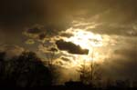 02_other_002
