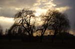 02_other_003