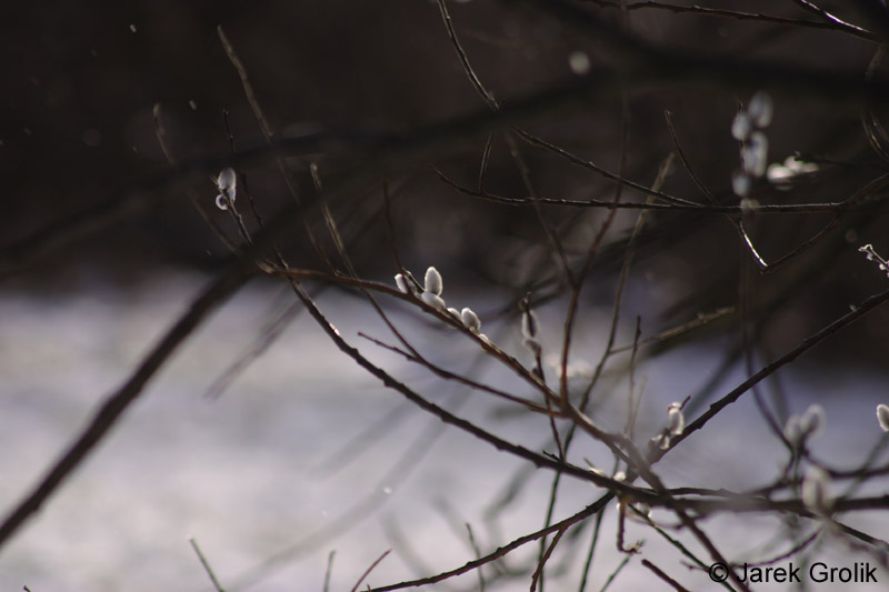 03_other_001