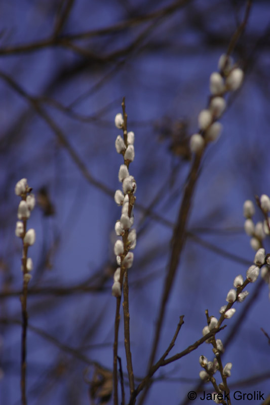 03_other_002