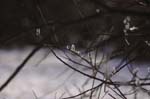 03_other_001
