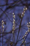 03_other_002