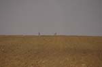 05_other_01
