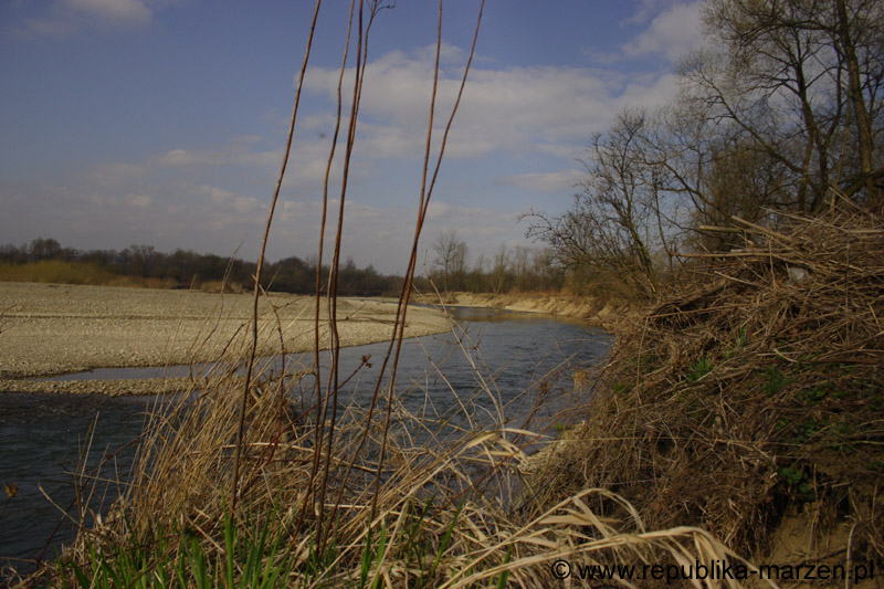 08_other_04