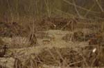 08_other_02