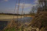 08_other_04