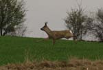 09_other_05