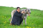 14_couperin_immelmann_ivanhoe_17