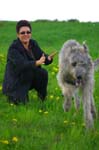 14_couperin_immelmann_ivanhoe_18