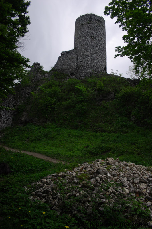 16_other_04
