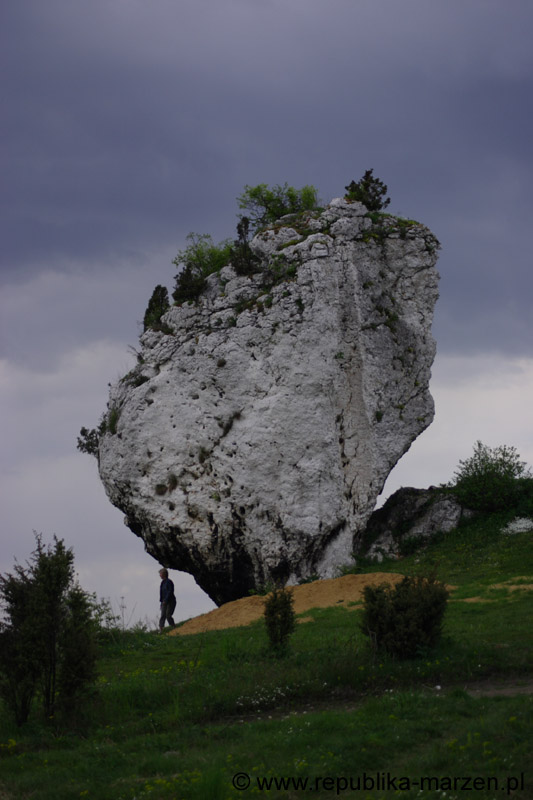 16_other_17
