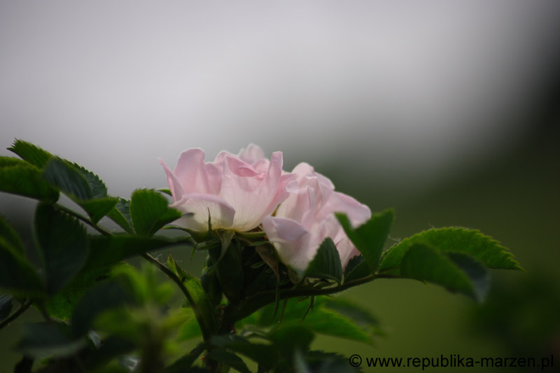 19_other_07