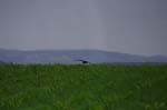 19_other_02