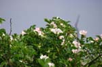 19_other_05