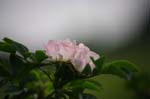 19_other_07