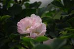 19_other_08