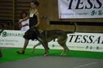 CRW_5014