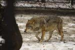 CRW_0770