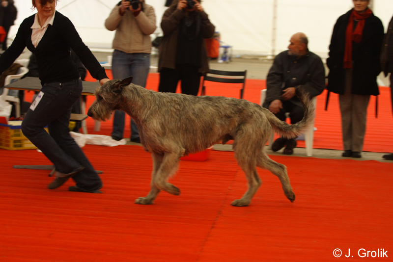 1065 Katowice CACIB 09