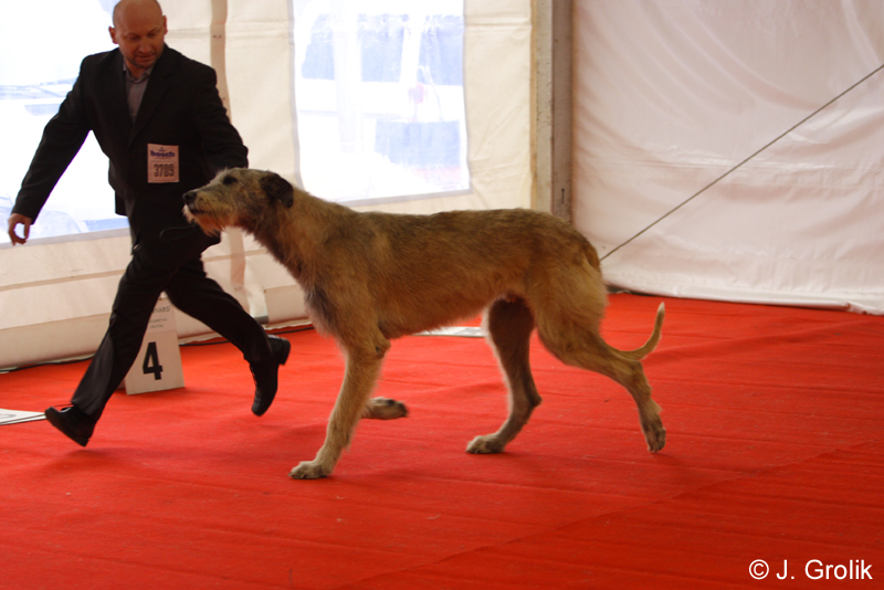 1071 Katowice CACIB 09