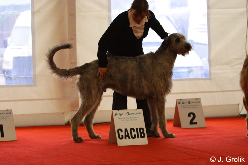 1073 Katowice CACIB 09