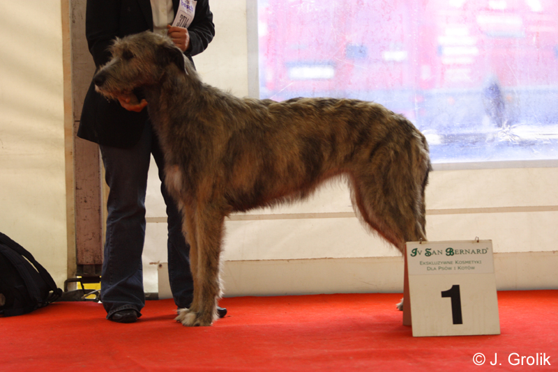 1086 Katowice CACIB 09