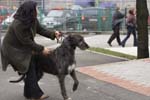 0986 Katowice CACIB 09