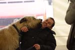 1033 Katowice CACIB 09