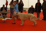 1068 Katowice CACIB 09