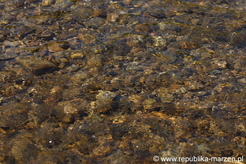 CRW_1626