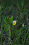 CRW_1403