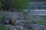 CRW_1412