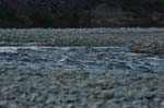 CRW_1419