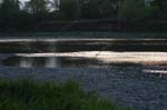CRW_1421