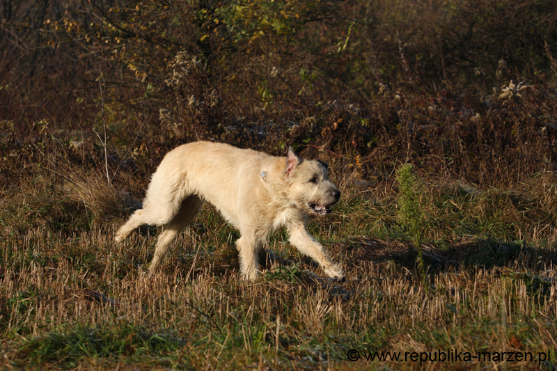 CRW_6058