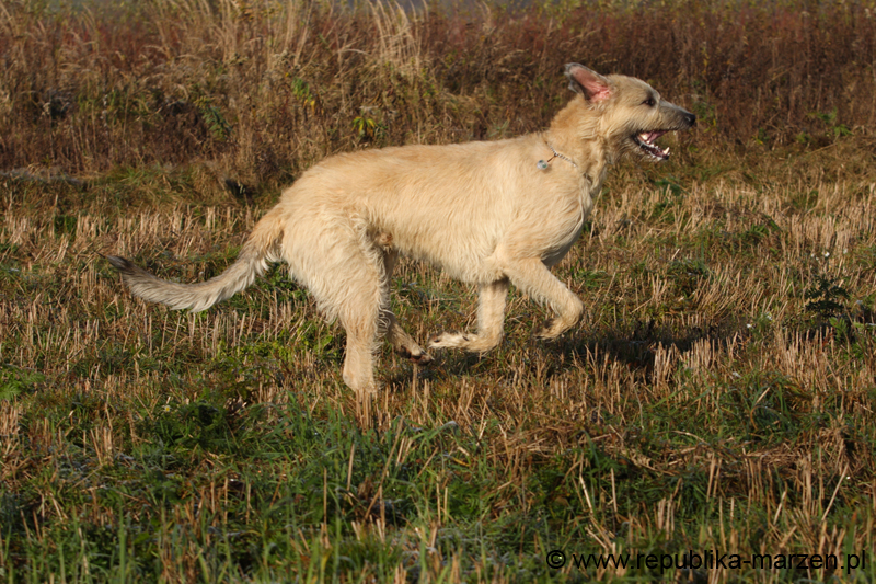 CRW_6060