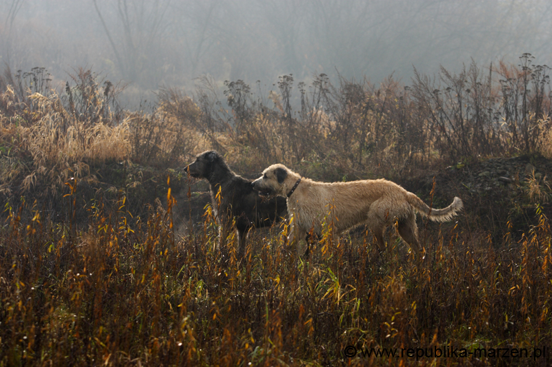 CRW_6207
