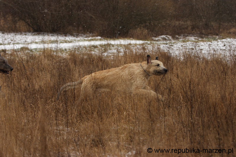 CRW_6266