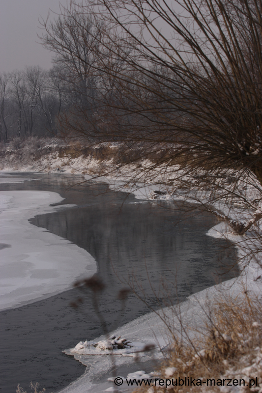 CRW_6354